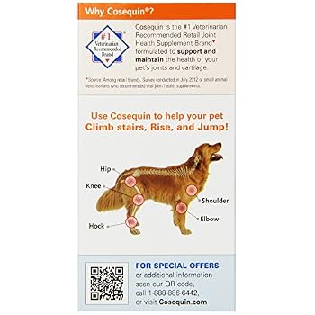 Dog Supplement for Joint Health