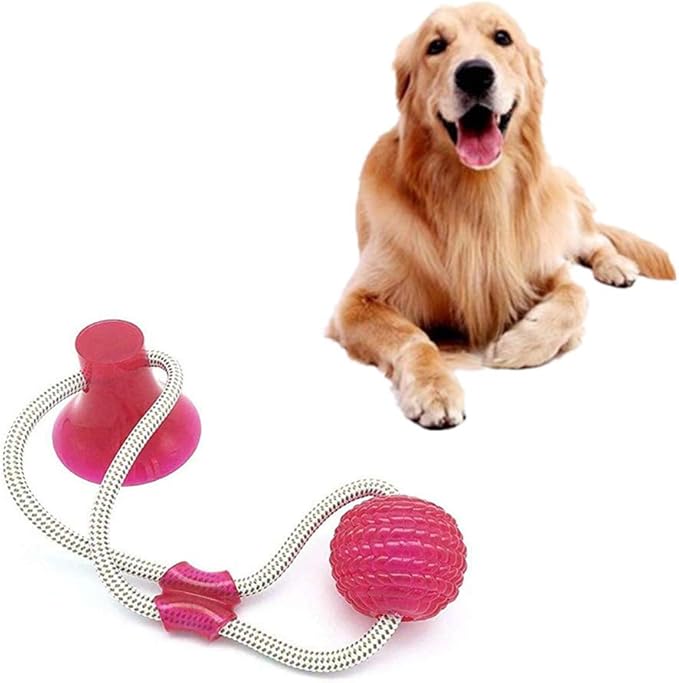 Xinllm Dog Training Balls Dog Molar Ball Dog Training Toy