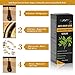 Hair Growth Serum, Hair Treatment, Hair Serum, Hair Loss Treatment, Natural Hair Growth - Anti Hair Loss Promotes Hair Growth, Solution for Hair Thinning and Loss, Hair Regrowth For Men Women