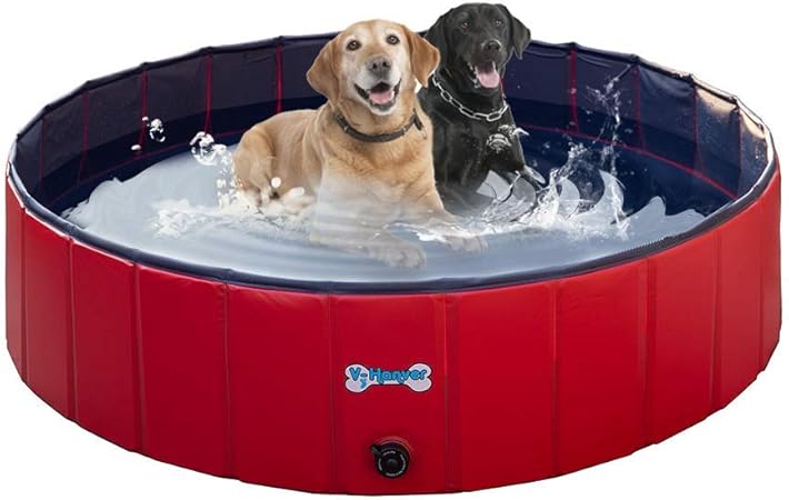 deep dog pool