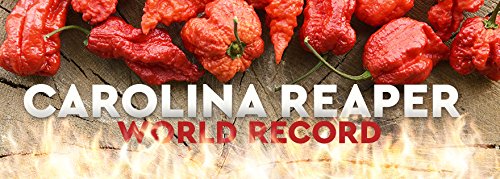 4 Monsoon+Spice+Company+Carolina+Shipping