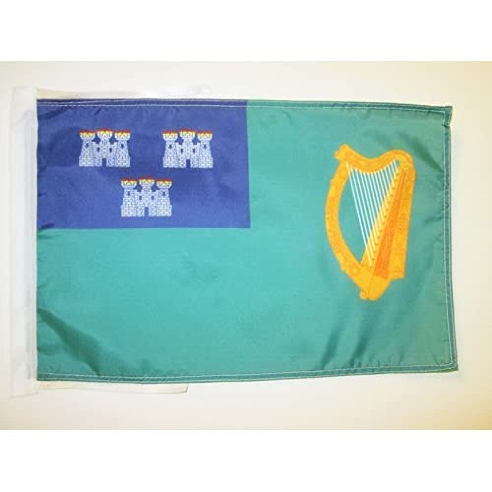 AZ FLAG - Dublin Flag - 18'' x 12'' - 100% Polyester Dublin in Ireland Small Banner with Two Cords - Fade Resistant - Vivid Colors - 18x12 in - 45x30 Cm โ image 1
