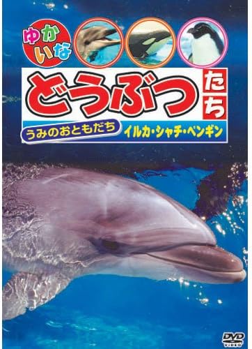 Amazon Co Jp うみのおともだち イルカ シャチ ペンギン Dvd Dvd ブルーレイ