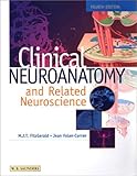 Clinical Neuroanatomy and Related Neuroscience : Basic and Clinical, FitzGerald, M. J. T. and Folan-Curran, Jean, 0702025585