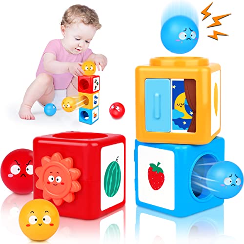Baby Toys to 12 Months Montessori Toys for Year Old Boys