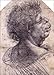 Leonardo da Vinci, Master Draftsman (New York Metropolitan Museum of Art Series)