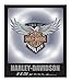 Harley-Davidson 115th Anniversary Limited Collector Pin w/Display Stand 290163