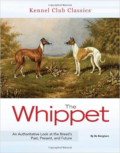 The Whippet (Kennel Club Classics) �n�[�h�J�o�[  - 2011/1/4
