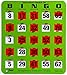 Regal Bingo Bulk Bingo Cards with Sliding Windows - Reusable Large Print Bingo Game Cards for Adults Large Group - 100 Pack, Green
