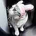 Bro'Bear Bunny Rabbit Hat with Ears for Cats & Small Dogs Party Costume Accessory Headwear (Pink Bunny, Medium)