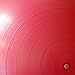Exercise Ball - Professional Grade Anti-Burst Fitness, Balance Ball for Pilates, Yoga, Birthing, Stability Gym Workout Training and Physical Therapy (Pink, 55cm)