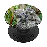 Cute Mama Koala Bear With Her Baby Koala PopSockets