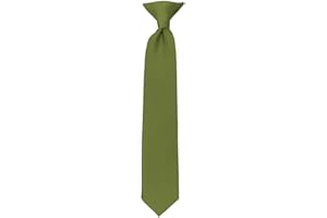 NYFASHION101 Boys' Kids' Children's Smooth Satin Solid Clip On Tie