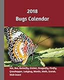 2018 Bugs Calendar: 2018 Monthly Calendar with USA Holidays, 12 bugs, 24 +2 Full Color Insect Photos For Kids, 8 x 10 in, 16K size by Tebo