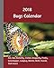 2018 Bugs Calendar: 2018 Monthly Calendar with USA Holidays, 12 bugs, 24 +2 Full Color Insect Photos For Kids, 8 x 10 in, 16K size by Tebo