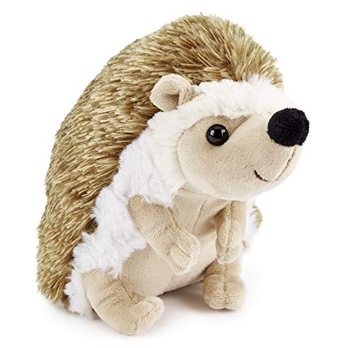 Hedgehog