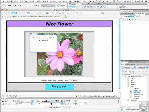 Learning Dreamweaver CS5 Tutorial DVD - Training Video