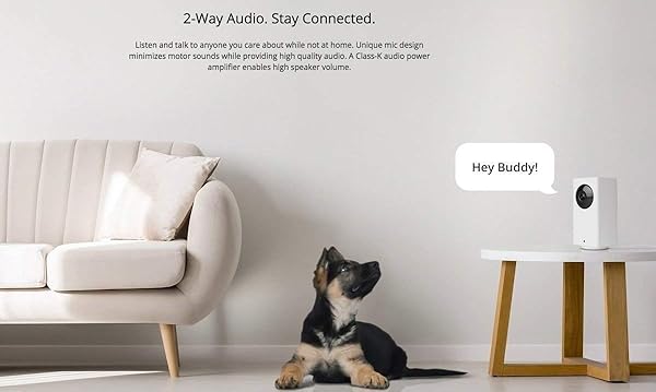 ZLDQBH 1080p PanTiltZoom Wi Fi Smart Home Innenkamera mit Nachtsicht 2 Wege Audio Personenerkennung arbeitet mit Assistent