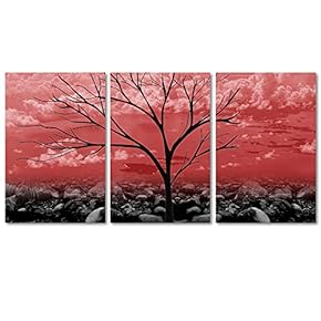 Canvas Wall Art Colorful Abstract Cloud...