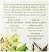 Tropical Vanilla Day Cream SPF 40 by Eminence for Unisex - 2 oz Sunscreen
