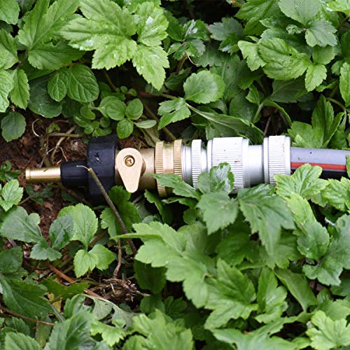 6 PLG+Solid+Brass+Water+Shut+Off