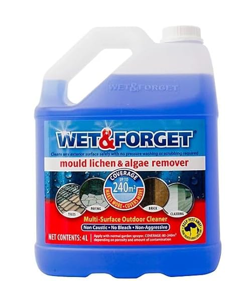 Wet & Forget Mould, Lichen & Algae Remover, Outdoor Cleaning Solution, Black Mould Remover, Bleach Free, 4 Litre