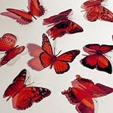 Butterfly 3D Translucent Decoration 15 RED Butterflies