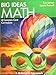 BIG IDEAS MATH: Common Core Teacher Edition Green 2014
