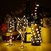 Fairy String Lights 6.5ft 20 LED Silver Copper Wire String Lights Battery Powered Starry Firefly Fairy Moon Light for DIY Dinner Party Bedroom Holiday Home Indoor Decoration (16 Pack Warm White)