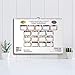 Orange Circle Studio 2020 Deluxe Wall Calendar, Floral Expressions