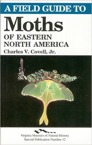 Pictures Of Moths In North America