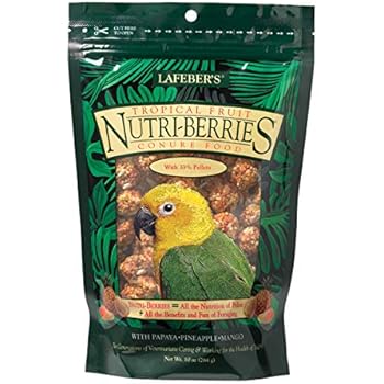 LAFEBER'S Tropical Fruit Nutri-Berries Conure Food, Made with Non-GMO and Human-Grade Ingredients, for Conures, 10 oz