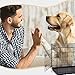 BestPet 30