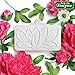 Flower Pro Peony Leaves Silicone Mold For Cake Decorating & Craft. For Fondant, Sugar Paste & Air Dry Clay from Katy Sue Designs Fondant, Silicone & Air Dry Clay Molds