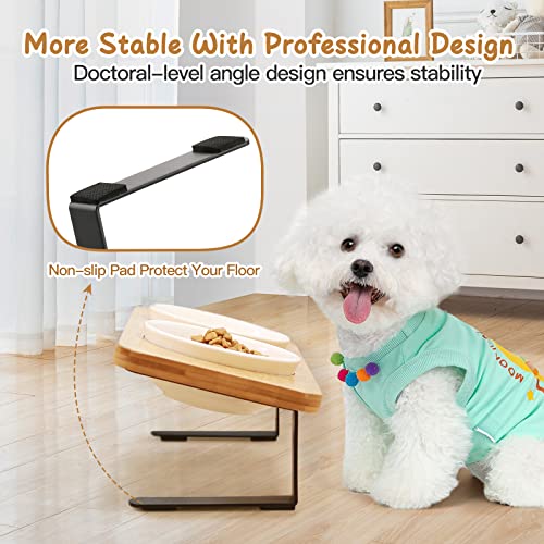 Ceramic Elevated Cat Bowls, 15° Tilted Raised Cat Food Bowls for Food and Water, Indoor Cat Dishes with Bamboo Stand Anti Vomiting for Cats and Puppy, Pet Bowl Set with Anti Slip Feet, Dishwasher Safe