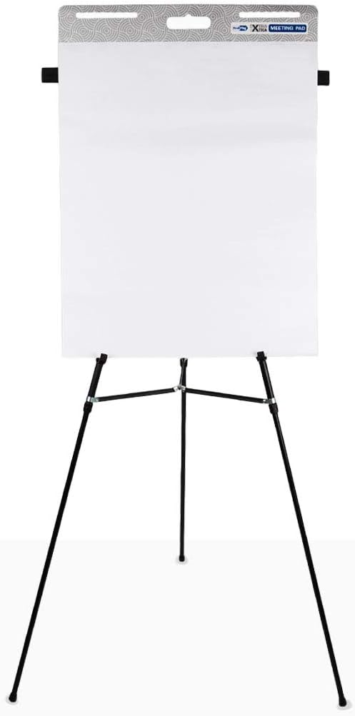 Redi-Tag Extra Xtra Easel Meeting Pad, Sticky Wall Pad/Easel Pad, Hang Vertical or Horizontal, White, 25" x 30", 30 Sheets/Pad, 2-Pack (10063) : Office Products