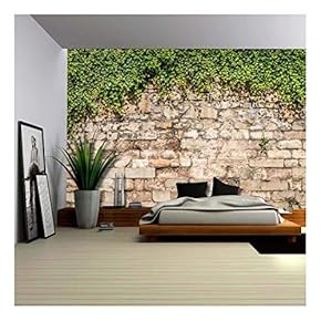 BRAND_NAMEGreen Vines Draping from an Old Brick Wall...