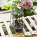 NCYP Small Geometric Terrarium - 4.1