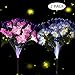 dapai Solar Garden Lights Outdoor, LED Decorative Solar Flowers Stake Lights for Garden Yard Patio Lawn Path Decoration, Color Changing, 2 Pack ( Pink & Purple)