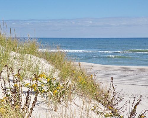 Beach Photography - Ocean and Sand Dunes -"Island Beach - Beyond The Dunes" Coastal Color Palette