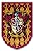 Harry Potter Gryffindor Banner - Gryffindor Flag - Printed on Both Sides - Perfect Conditions for Outside - Amazing Gift for All PotterHeads - Unique HP Collectible Accessories (Gryffindor)