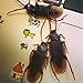 Szsrcywd 100 PCS Fake Roach
