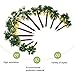 WINOMO 12pcs Plastic Artificial Trees Layout Rainforest Palm Tree Diorama Scenery