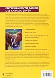 Image de Entrenamiento básico del caballo joven / Basic Training of the Young Horse (Spanish Edition)