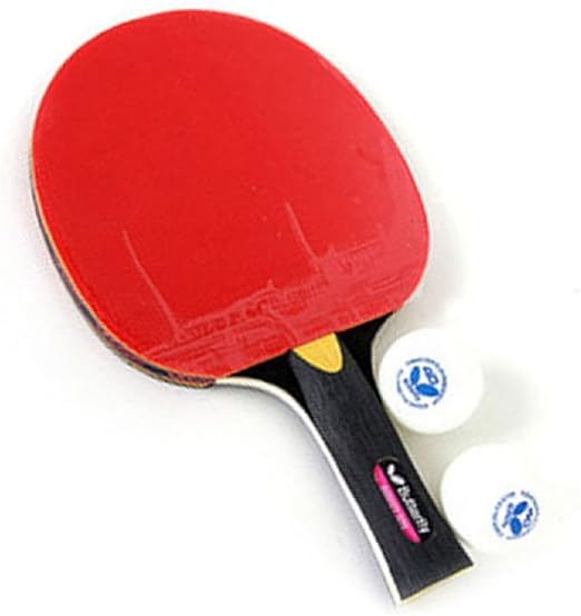 butterfly table tennis set
