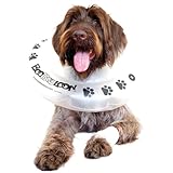 BooBooLoon Inflatable Pet Recovery Collar 1 Medium