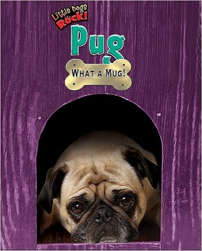 Pug: What a Mug! (Little Dogs Rock!)  �}����  - 2009/1/1