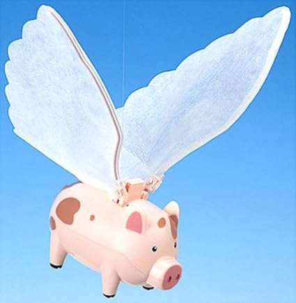 flying pig toy