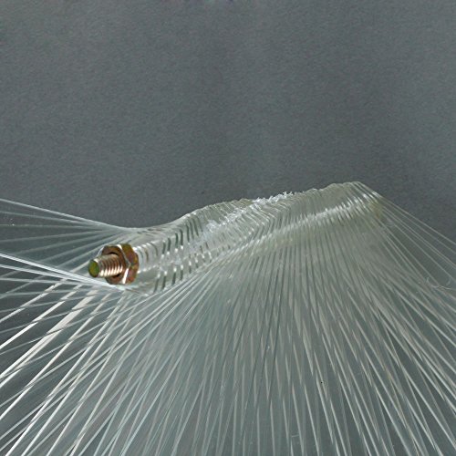 Adecco LLC 50 Pcs Clear Fan-shaped False Fake Nail Art Tips Sticks Polish Gel Salon Display Chart Practice Tool