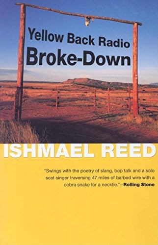 Yellow Back Radio Broke-Down (American Literature (Dalkey Archive))